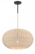  3545-66A - 1 LIGHT PENDANT