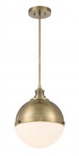  6605-923 - 1 LIGHT PENDANT