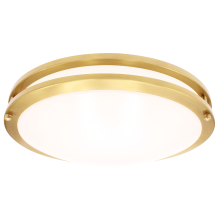 Luxrite LR23298 - LED16&#34;FLUSH/DR/BRS/5CCT/D