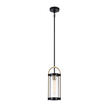  AC11511BB - Bonita Collection 1-Light Pendant Black and Brushed Brass