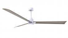  AKLK-MWH-GA-72 - Alessandra 3-blade transitional ceiling fan in matte white finish with gray ash blades. Optimized