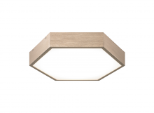  M12611OR - Hexol Ceiling Mount