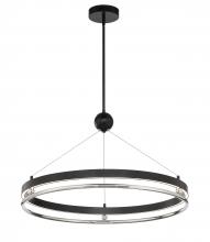  N7994-572-L - LED PENDANT