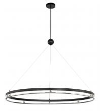  N7996-572-L - LED PENDANT