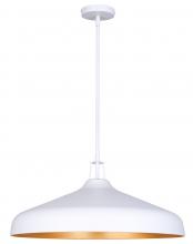  IPL1203A04WHG22 - HOLLAND (PGD inside) Color, 4 Lt 22in Width Rod Pendant, 60W Type A,22inch W x 13.125-61.125inch H